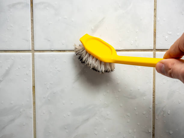 Best Affordable Mold Removal  in Iola, WI
