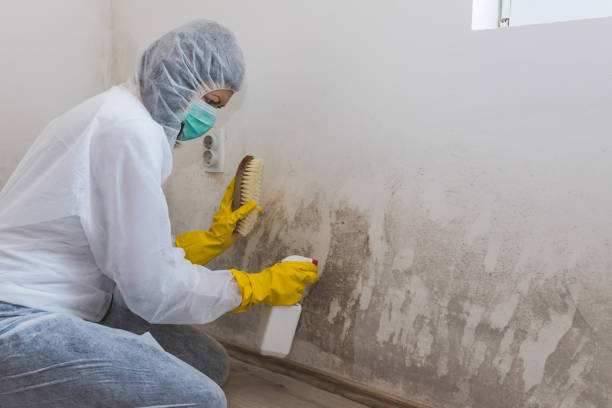 Water Damage Restoration in Iola, WI