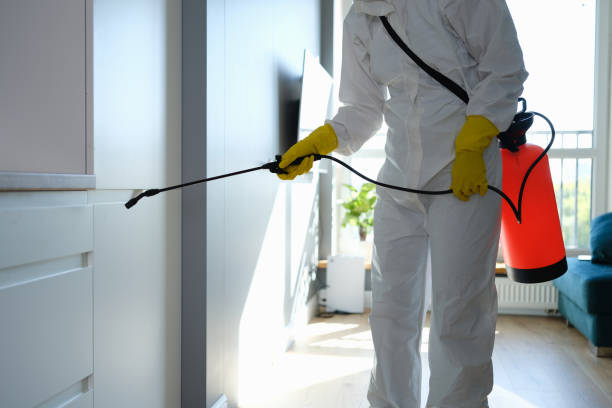 Best Residential Mold Removal  in Iola, WI